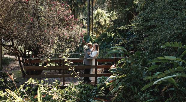 Wedding de Daniela e Pedro