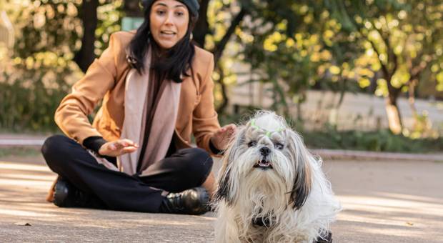 Pets de Ensaio Paulinha e Chewie