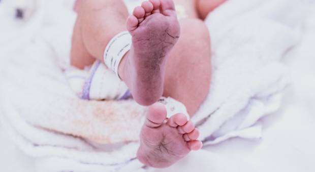 Parto de Parto José Arthur