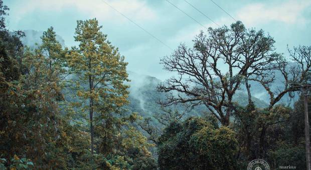 Trekking I Outdoor de Trilha do Viajante