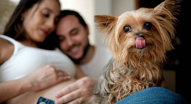 Gestante e família de Ana Júlia e Marcelo 