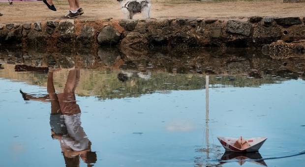 Ensaios de Letícia e Felipe 