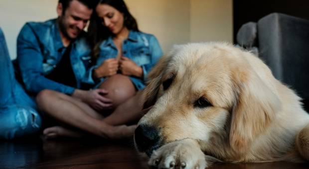 Gestante e família de Ana Luisa, Helton e Farofa a espera da Manu