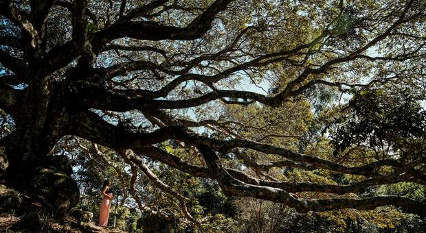 Casamentos novos de Dani e Diguinho ensaio gestante