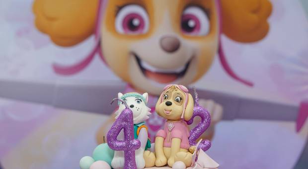 Infantil de Festa Infantil - Maria Fernanda e Anna Cecília 