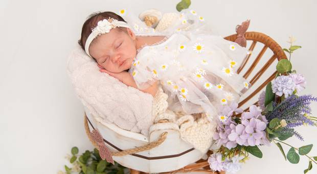 Newborn de Ensaio de Newborn