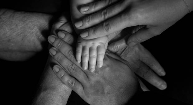 Ensaios de Retratos de Família