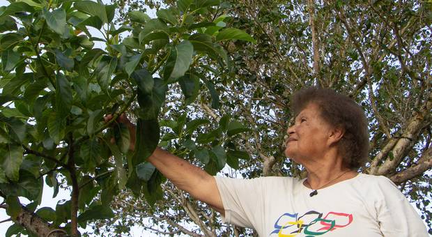 Ensaio Feminino de Tercina