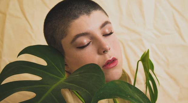 Projetos de Like the Seed