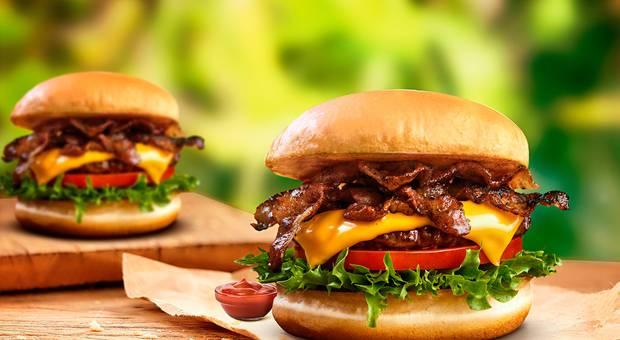 Comida de Hamburguer 