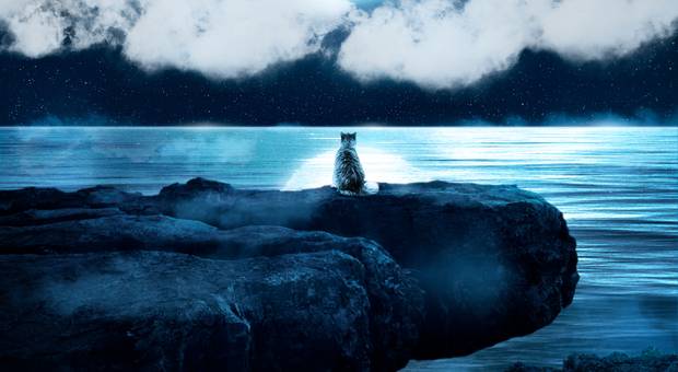 Arte digital, manipulação de imagens. de Arte Sci-fi cat