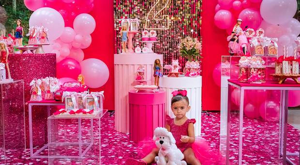 Aniversário Infantil de Cloe 2 Anos