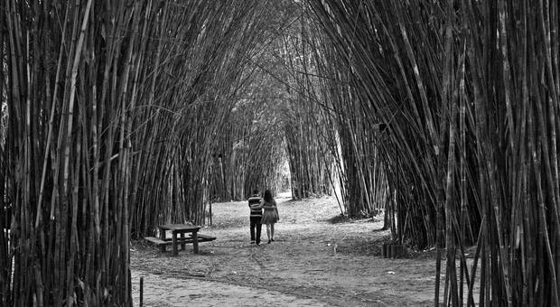Pré Wedding Pode Namorar!!! de Cesar e Mariana