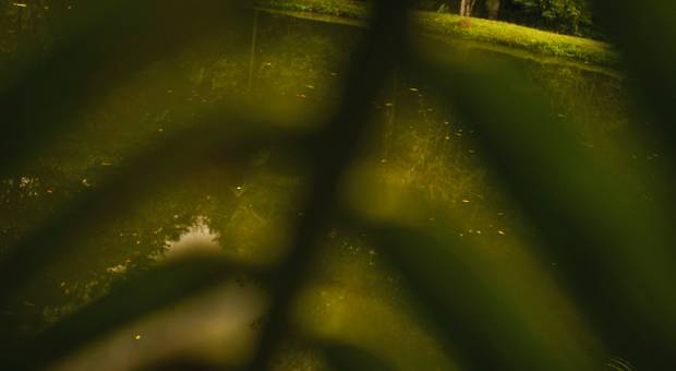 Pré Wedding Pode Namorar!!! de Guilherme e Eliane