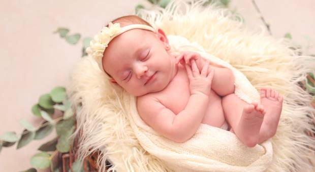 Newborn de Sessão de Newborn da Celine 