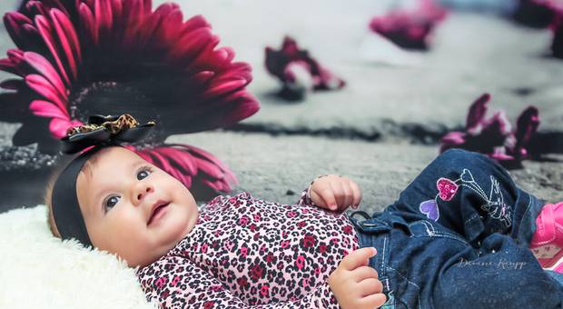 Acompanhamento de Bebê de Acompanhamento da Linda Milena