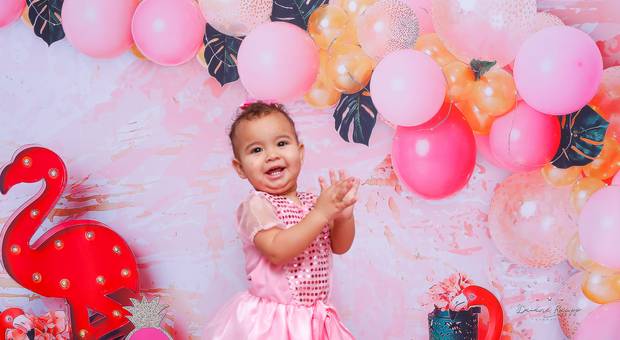 Smash The Cake de Milena (Smash Estúdio Tema Flamingo)