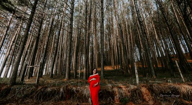 Gestantes de A linda espera do Murilo 