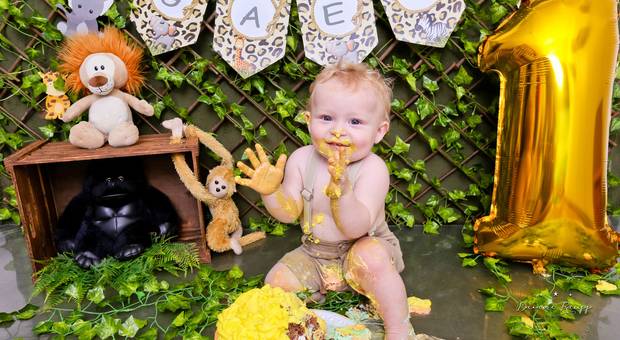 Smash The Cake de Smash do Gael - Safari