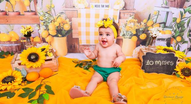  Estúdio  de 10 meses da Sophia