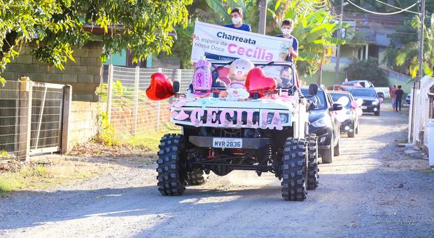 Chá de bebê/panela de Chá Drive Thru da Cecilia 