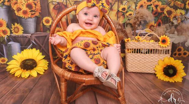 Acompanhamento de Bebê de Gabi no girassol 