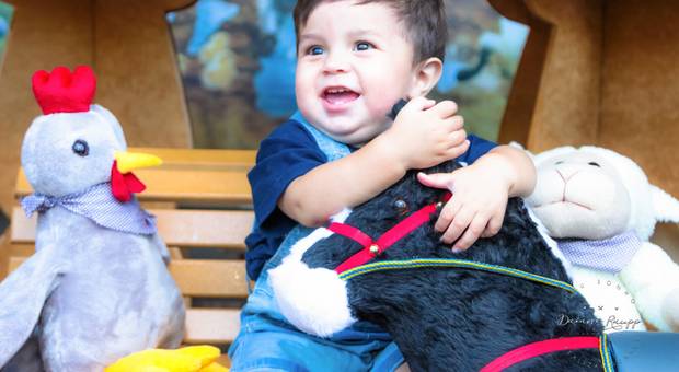 1º Aninho de 1º Ano do Lindo Lorenzo