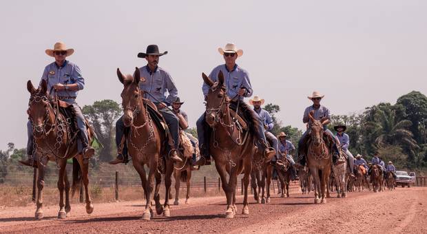 INSTITUCIONAL  de 6° Cavalgada do 9 Muladeiros