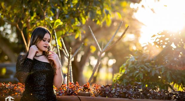 Book de Lara