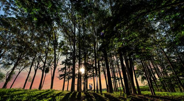 Pré wedding de Karen e Rogerio