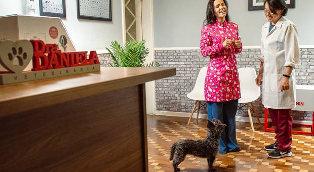 Retratos Profissionais | Construção de Imagem de Ensaio Profissional em São Paulo | MV.Dra. Daniela Mol Valle