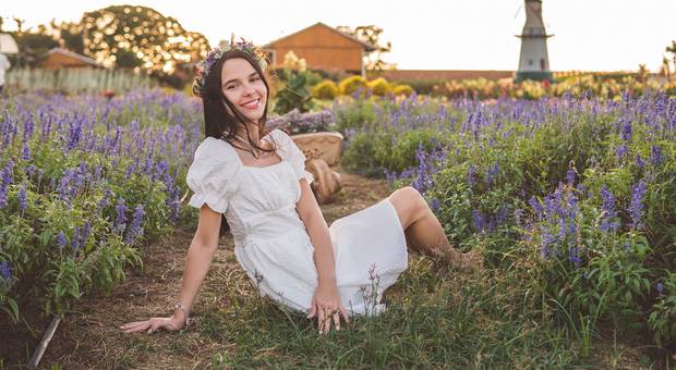 Ensaio de 15 anos de Ensaio de 15 anos da Helo nas plantações de flores em Holambra