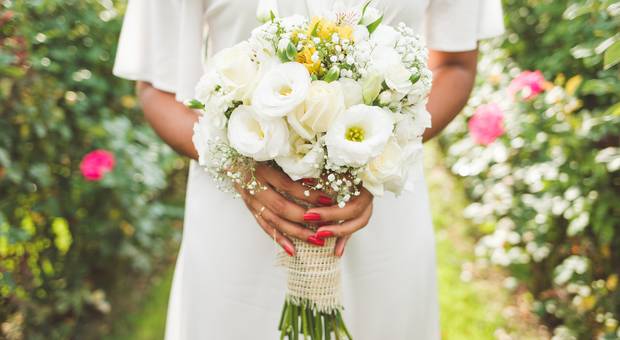 Pedido de casamento  de Pedido de casamento surpresa em Holambra - Lais e Danilo