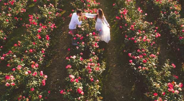 Ensaio Pre Wedding de Ensaio Pré casamento Nayara e Moises com cavalos e nas plantações