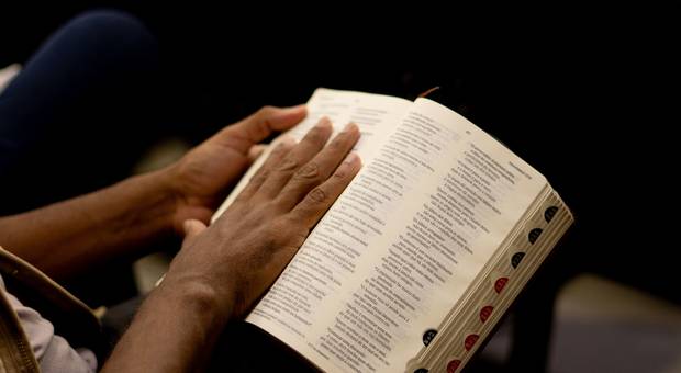 Homens de Homens e Plena - Nov/2024