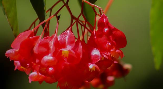 foto livre de Fotografia 