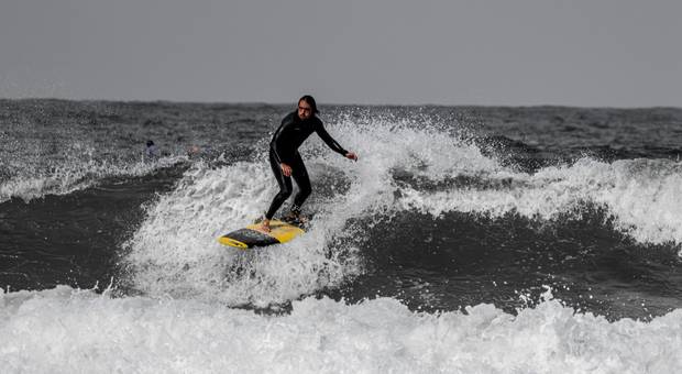 Surf de Surfista Soni