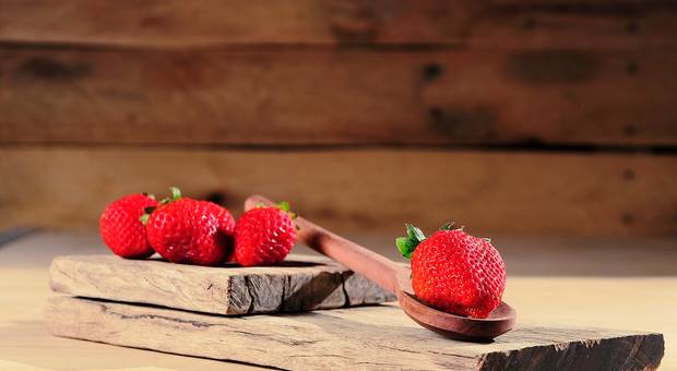 Gastronomia  de Gastronomia 