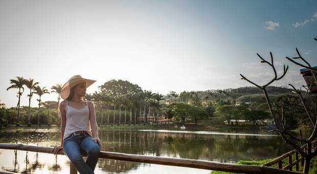 15 ANOS de ENSAIO 15 ANOS