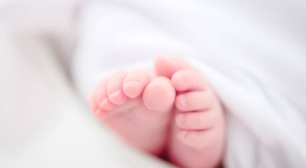 Newborn de Ensaio de recém nascido da Beatriz