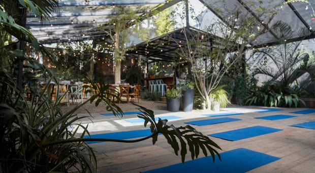 Eventos de Espaço Nattu | Encontro Yoga 