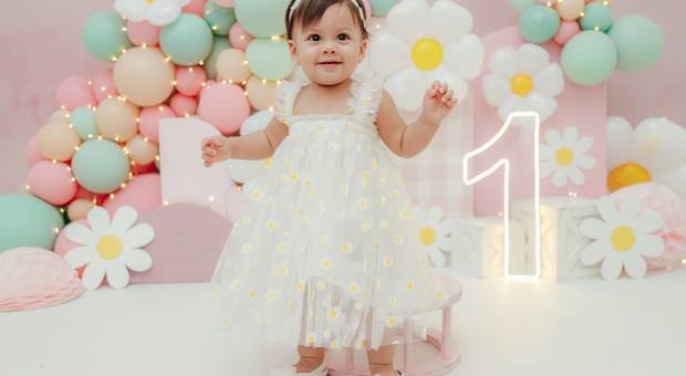 Smash The Cake de Aurora | Margaridinhas