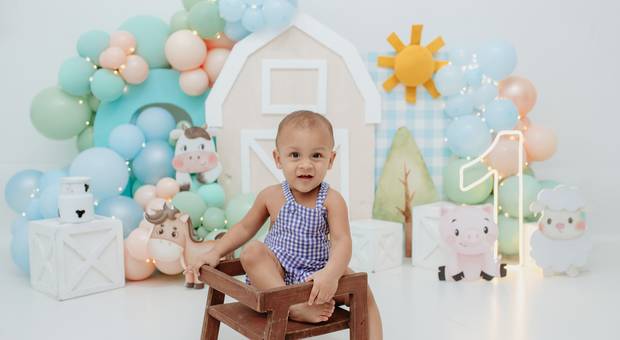 Smash The Cake de João Miguel - Fazendinha