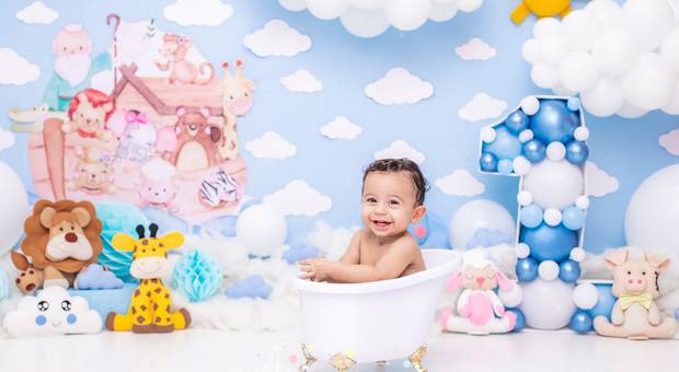 Smash The Cake de Noah | Arca de Noé