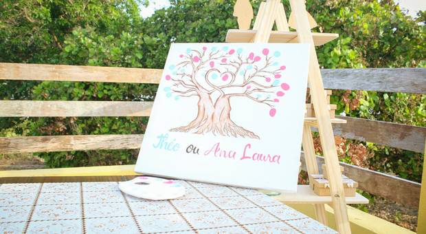 ENSAIOS EXTERNOS de Chá de revelação 