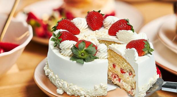 GASTRONOMIA de GASTRONOMIA
