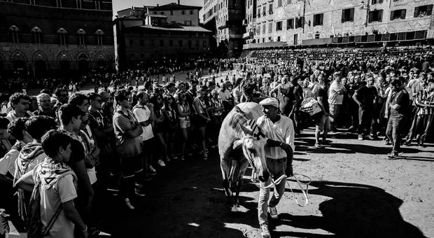 Proyectos Fotográficos de Un'altra perspetiva del Palio di Siena