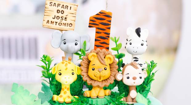 Aniversário Infantil de 1 aninho do José Antônio