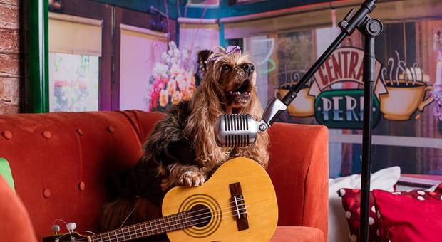 Ensaios Estúdio de Aquele com a Phoebe Buffay no CentrAU Perk