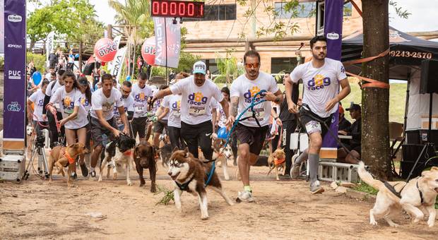 Eventos de DOG RACE - 4a edição 2022